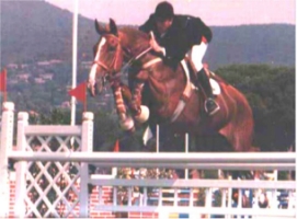 Bo dell'Alba
