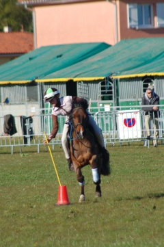 bandiere