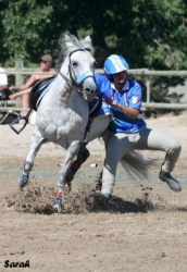 campionati
