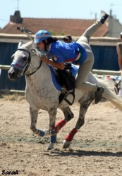 campionati