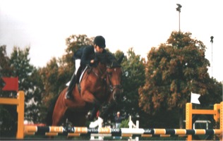pony